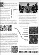 Blowfly282