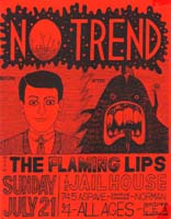 NTFlamingLips